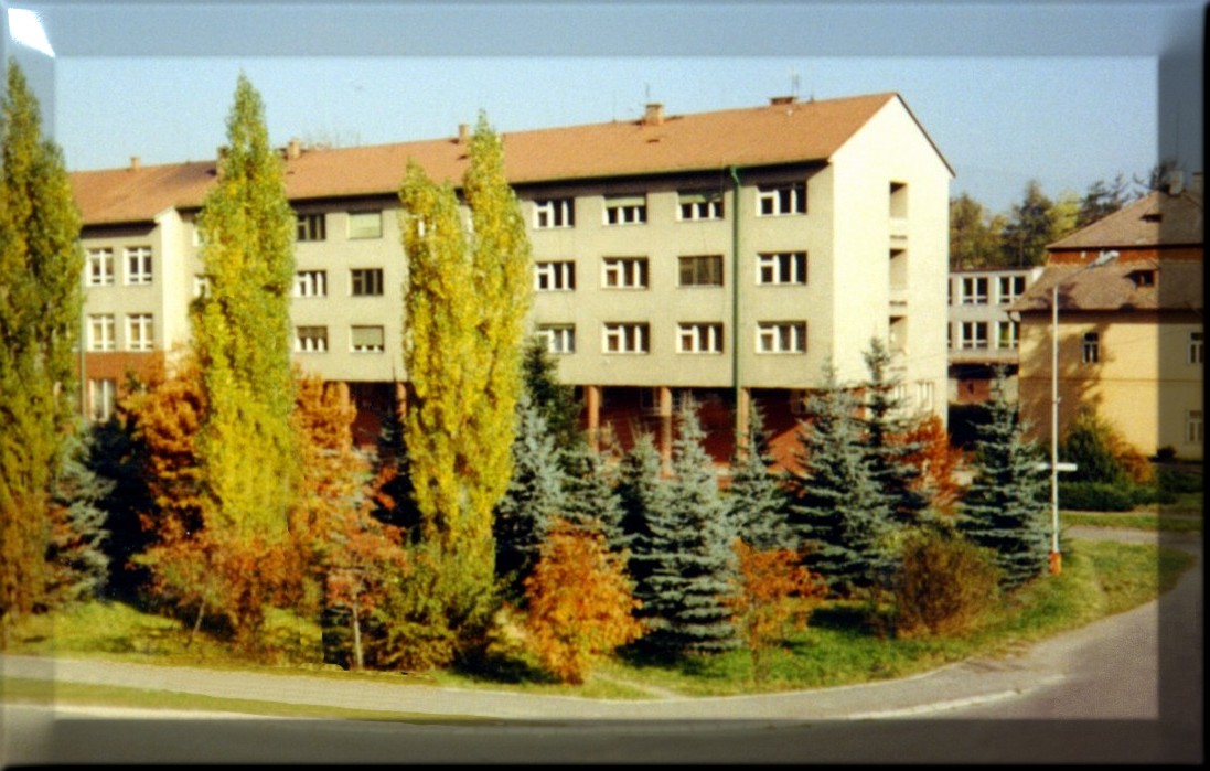 image00302